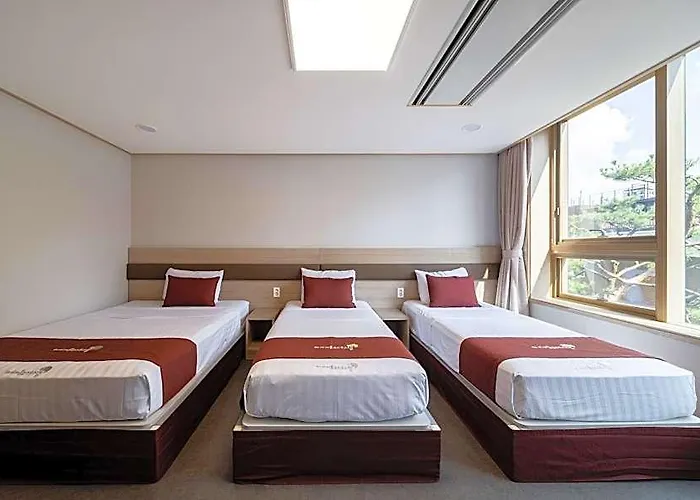 Hi Youth Hotel 3*